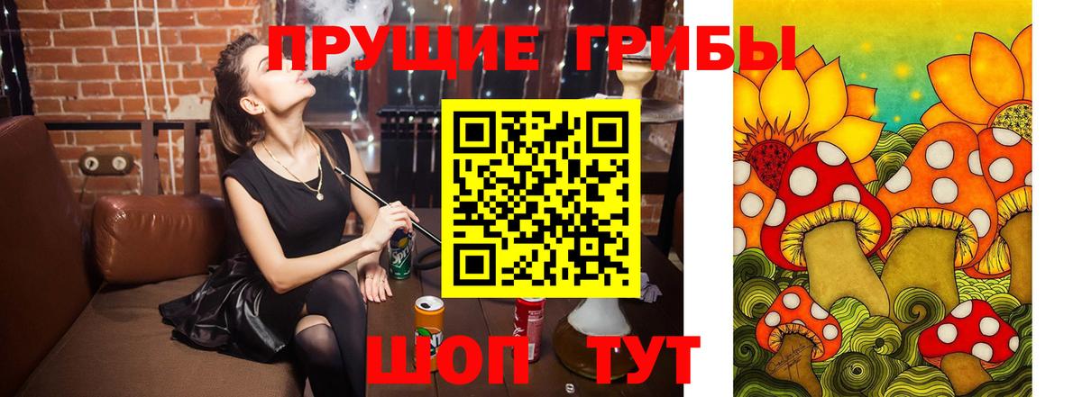 Геленджик  Галлюциногенные грибы ЛСД  Галлюциногенные грибы Psilocybine cubensis  Вход с VPN 